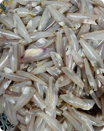 Anchovies